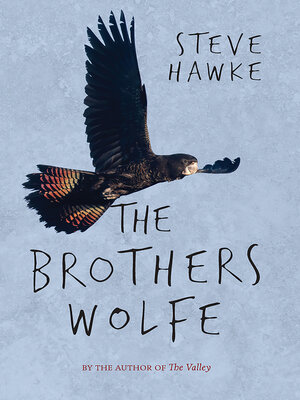 cover image of The Brothers Wolfe
